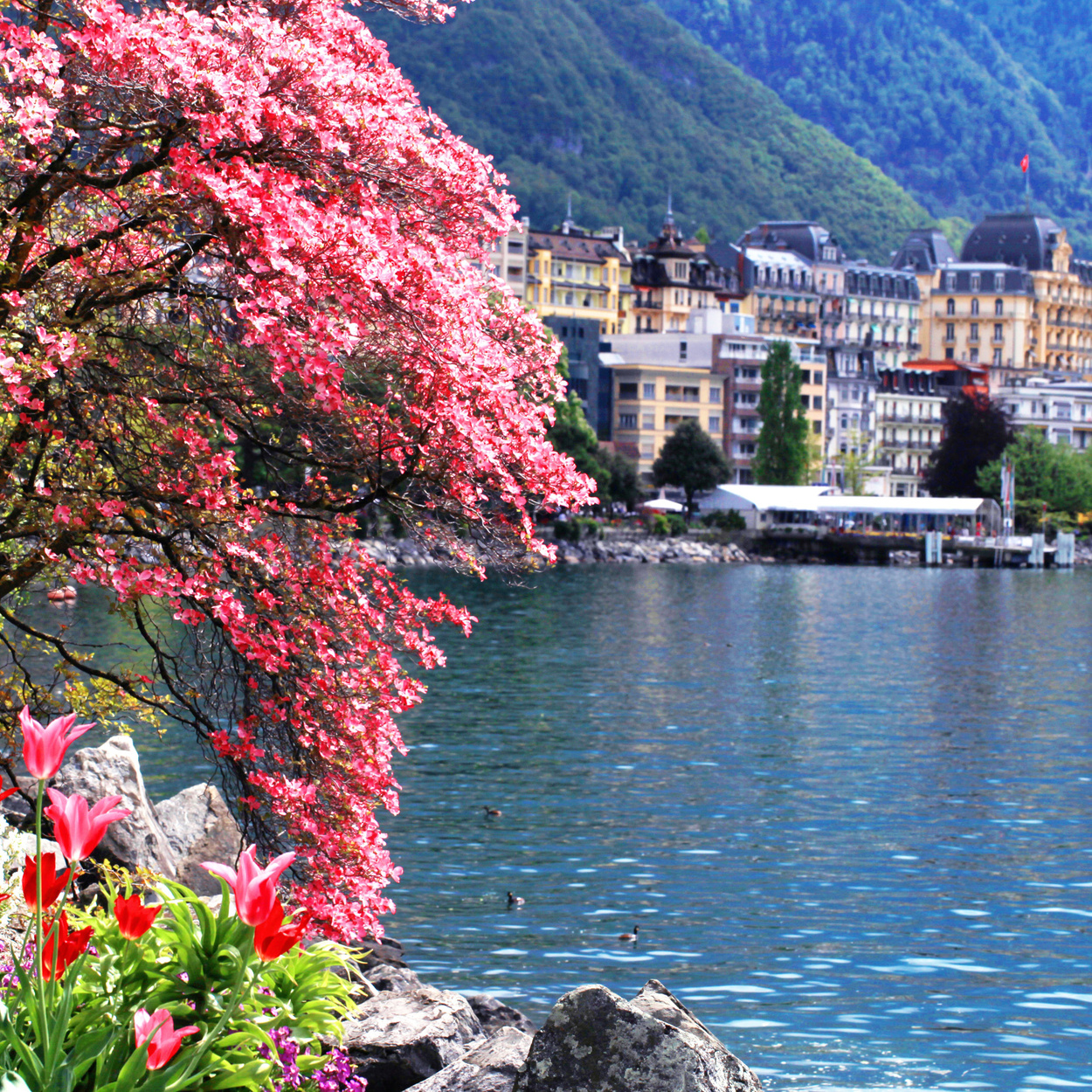 Montreux and  Lake Geneva, Switzerland.